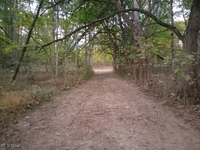 8123 Vandemark Road Lodi, OH 44254 - Photo 7 of 12 Cleared path towards second building site.
