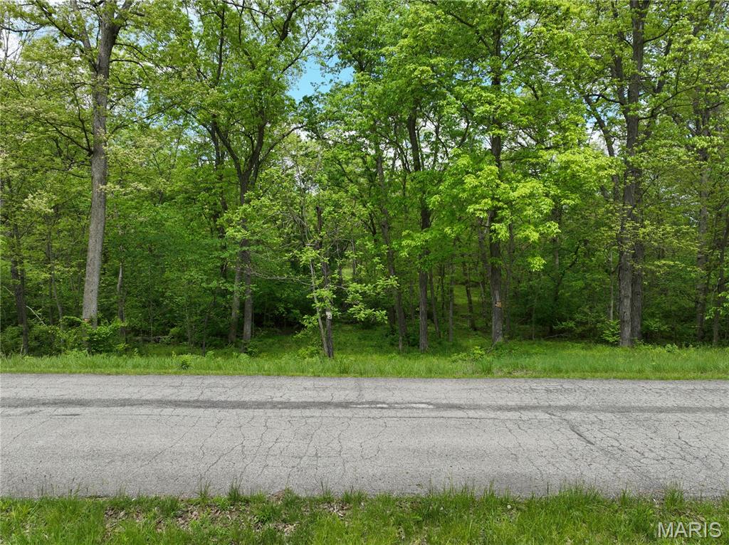 110 Spring House Lane Troy, MO 63379 - Photo 6 of 14