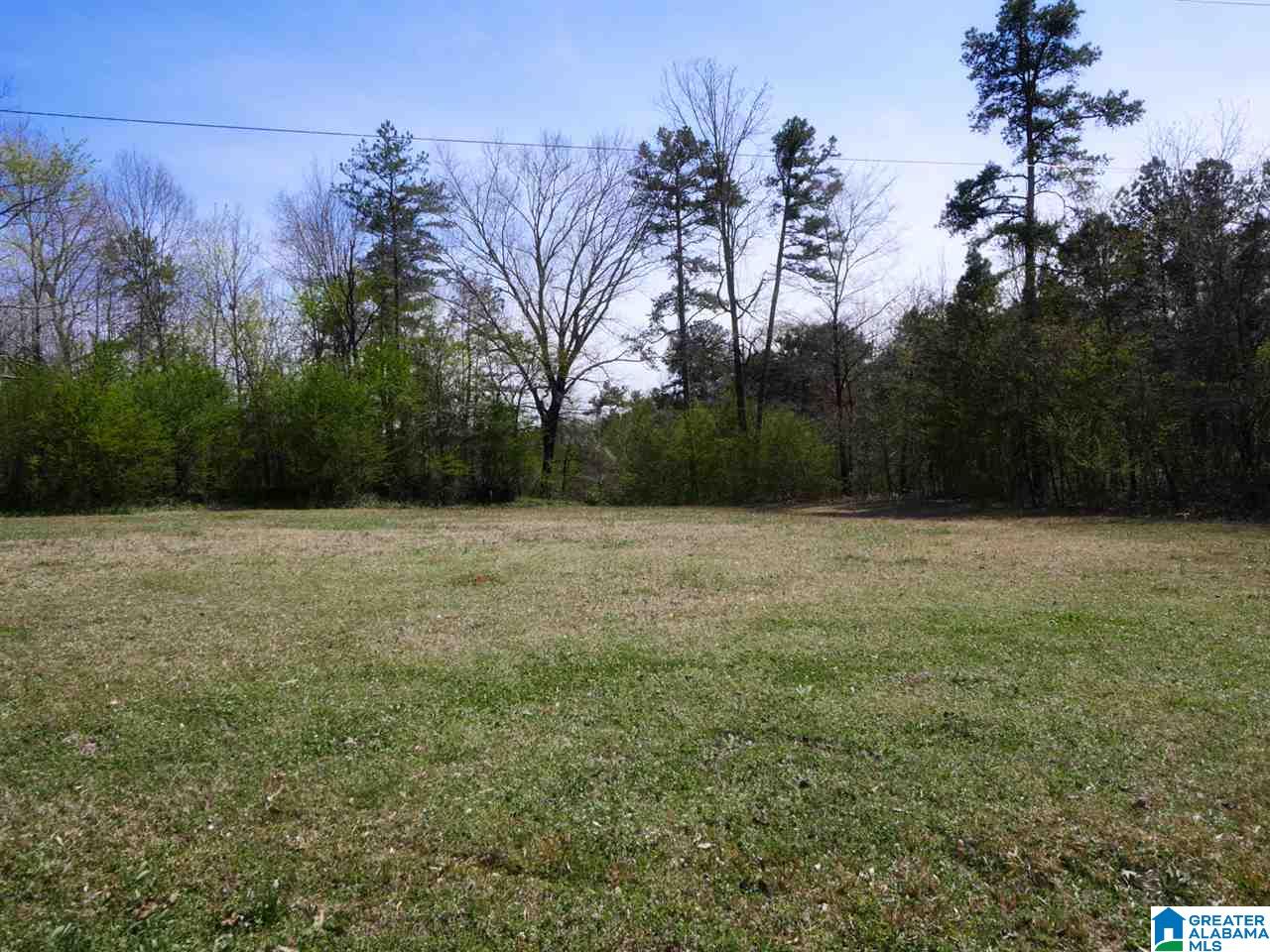4306 Mudd Street Lincoln, AL 35096 - Photo 32 of 39