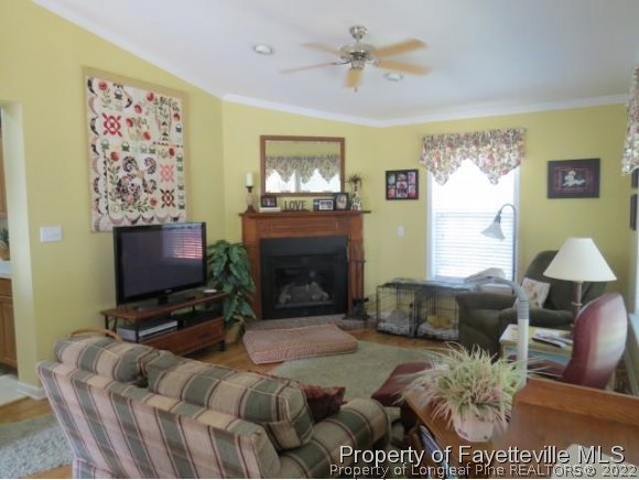 293 Ridge View Drive Cameron, NC 28326 - Photo 7 of 25 a living room with furniture a flat screen tv and a fireplace