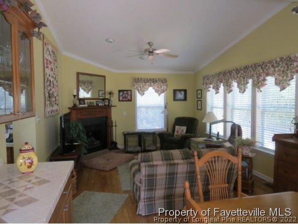 293 Ridge View Drive Cameron, NC 28326 - Photo 8 of 25 a living room with furniture a large window and a fireplace