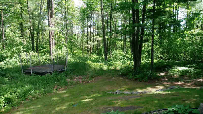4726 North Carter Road Pinconning, MI 48650 - Photo 15 of 21