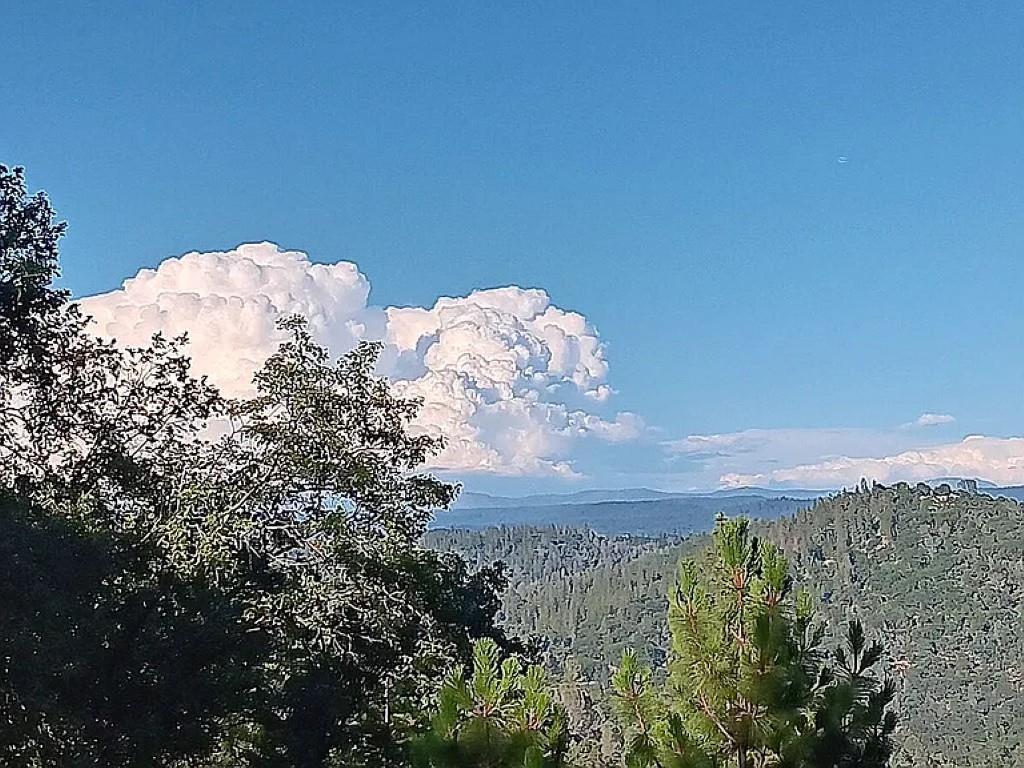 19121 Hiers Road Grass Valley, CA 95949 - Photo 2 of 94 a view of a large window of a yard