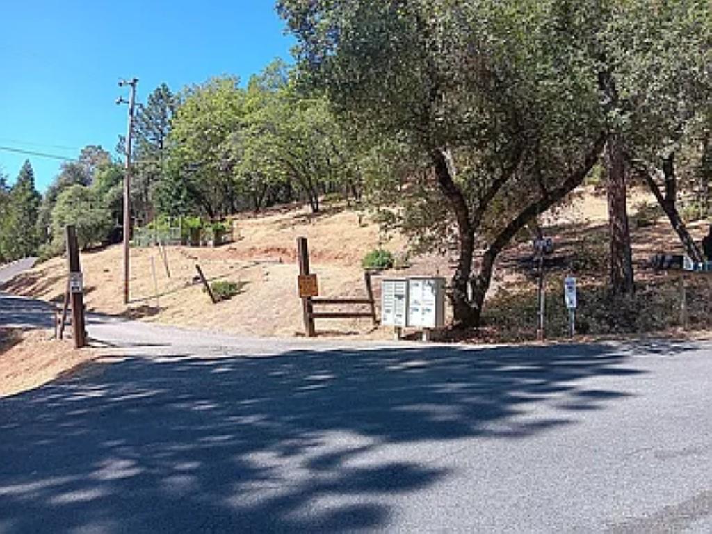 19121 Hiers Road Grass Valley, CA 95949 - Photo 53 of 94 a view of yard space and trees