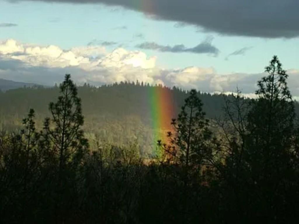 19121 Hiers Road Grass Valley, CA 95949 - Photo 58 of 94 a view of lake with green space