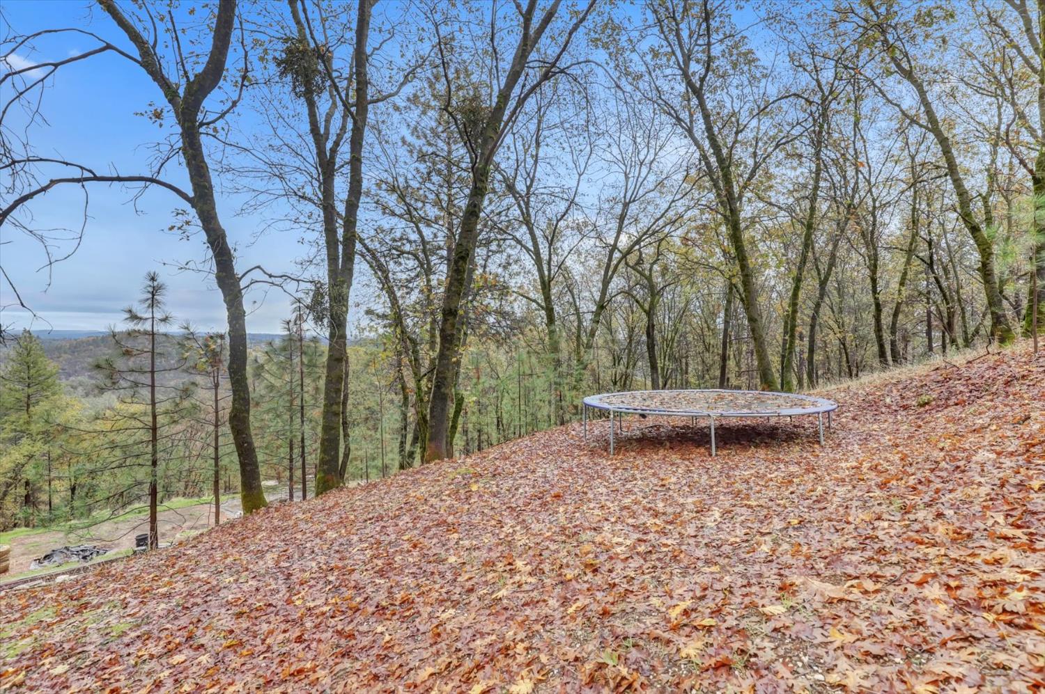 19121 Hiers Road Grass Valley, CA 95949 - Photo 66 of 94 a view of a backyard of the house
