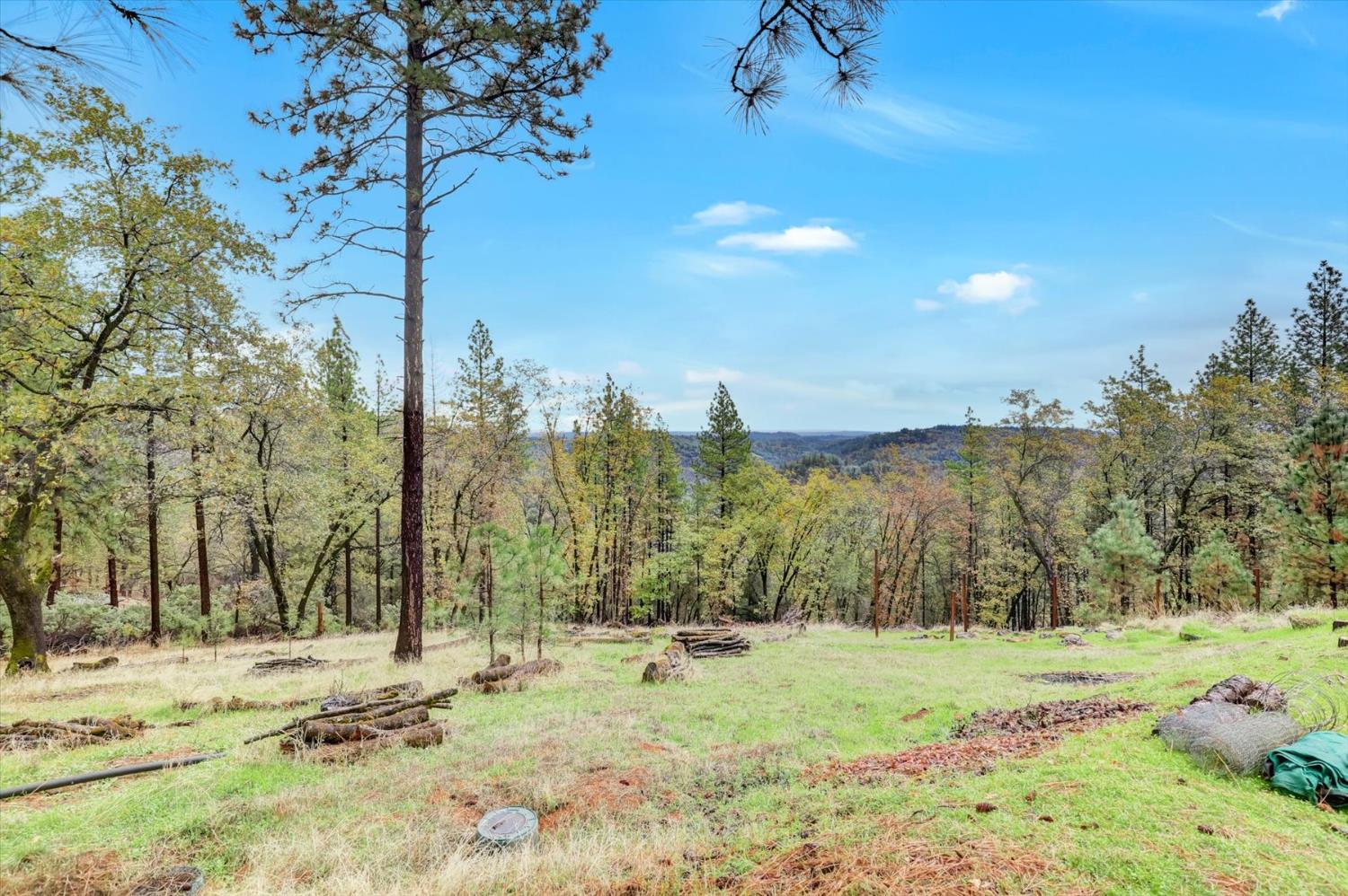 19121 Hiers Road Grass Valley, CA 95949 - Photo 69 of 94 a view of a yard with a tree