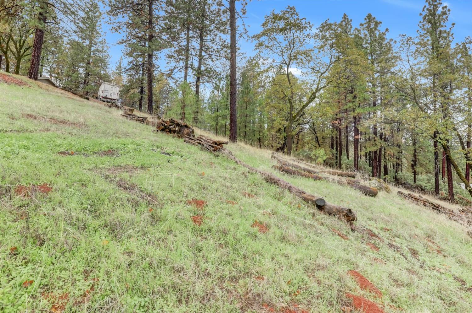 19121 Hiers Road Grass Valley, CA 95949 - Photo 73 of 94 a view of a yard with large trees