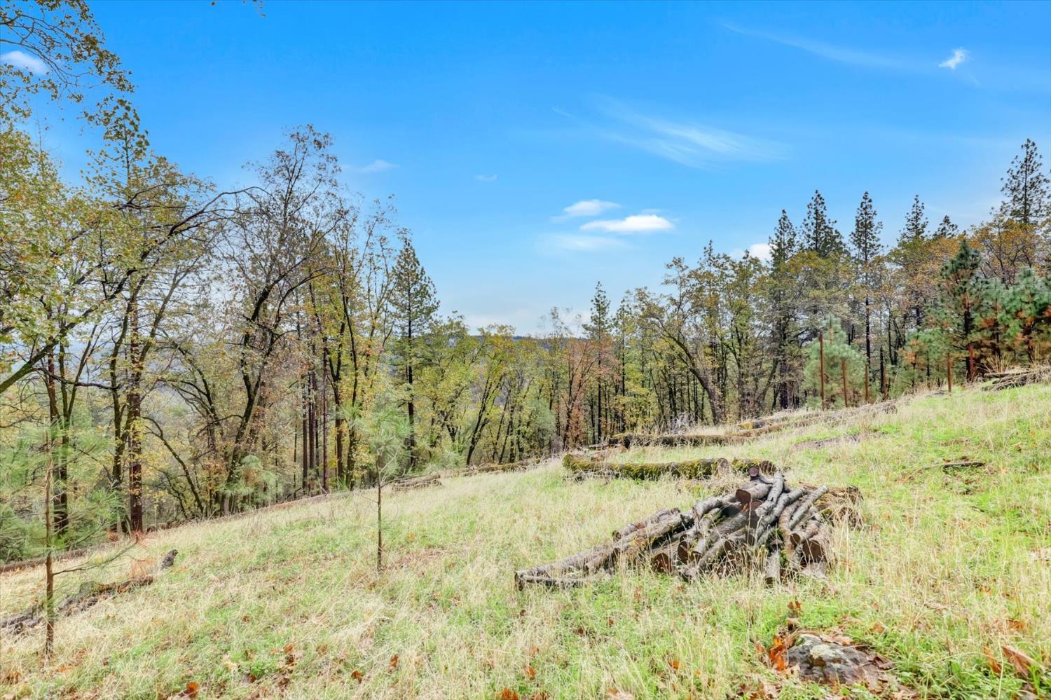 19121 Hiers Road Grass Valley, CA 95949 - Photo 77 of 94 a view of a yard with a tree