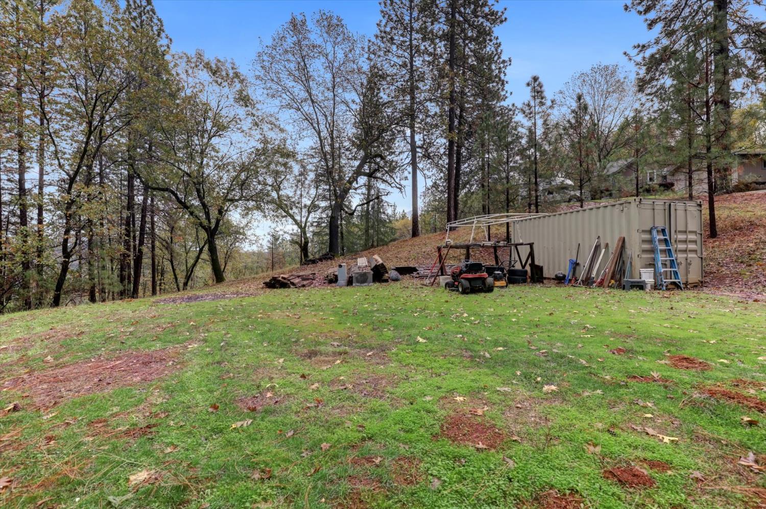 19121 Hiers Road Grass Valley, CA 95949 - Photo 81 of 94 a view of a yard with large trees
