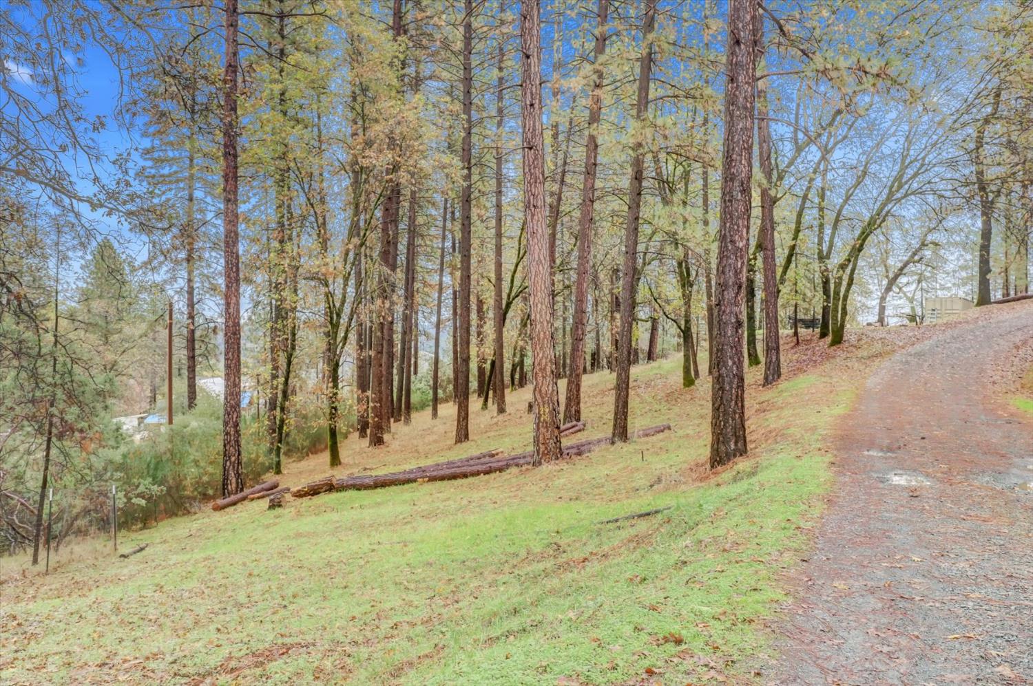 19121 Hiers Road Grass Valley, CA 95949 - Photo 85 of 94 a view of a back yard