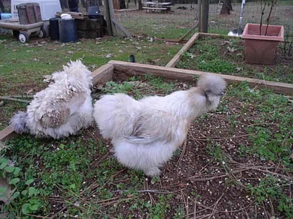 19121 Hiers Road Grass Valley, CA 95949 - Photo 93 of 94