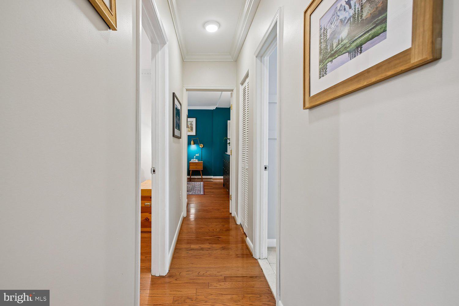 3376 Gunston Road, Unit 3376 Alexandria, VA 22302 - Photo 17 of 49 Hall to Bedrooms & Bathroom