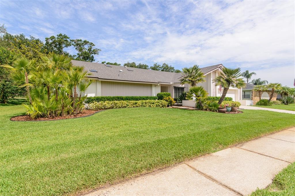 3230 Sandy Ridge Drive Clearwater, FL 33761 - Photo 66 of 66