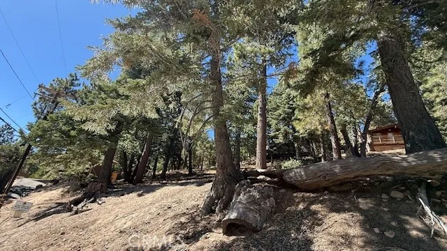 a view of outdoor space with trees