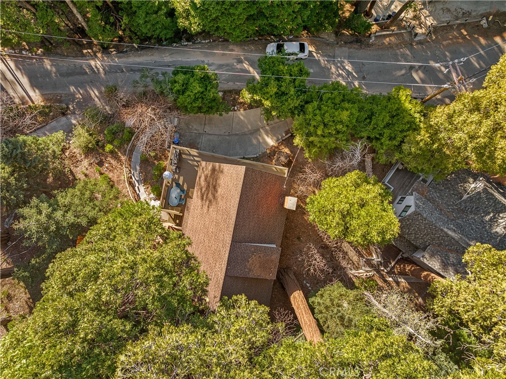 225 Fremont Road Lake Arrowhead, CA 92352 - Photo 8 of 49