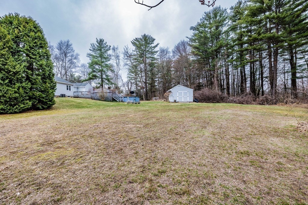 65 Mountain Road Holyoke, MA 01040 - Photo 35 of 35 a view of a field of grass and trees