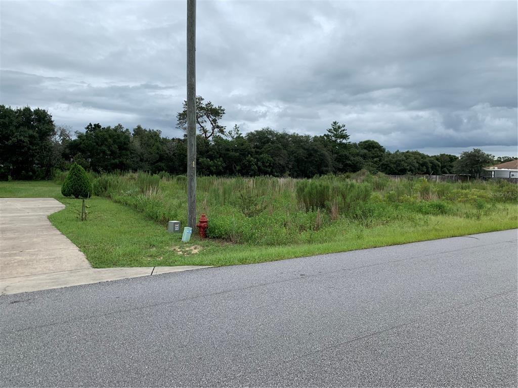 20 Southwest 102nd Lane Road Ocala, FL 34476 - Photo 1 of 1 Gallery Image 1