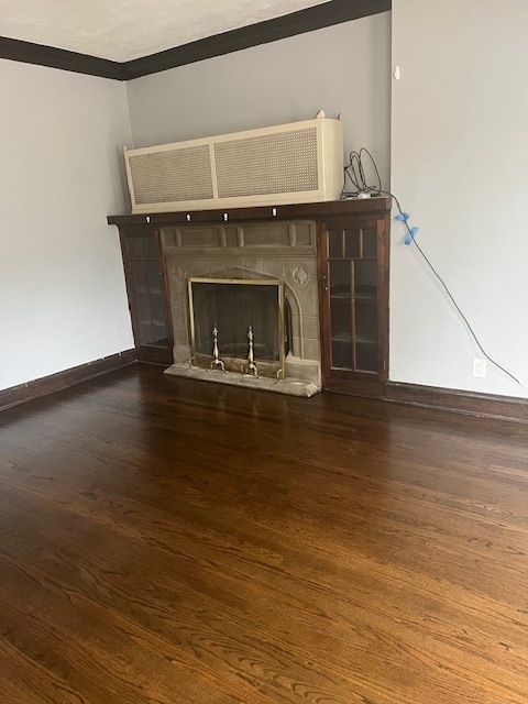 9735 South Michigan Avenue, Unit 1 Chicago, IL 60628 - Photo 7 of 17 a living room with a fireplace