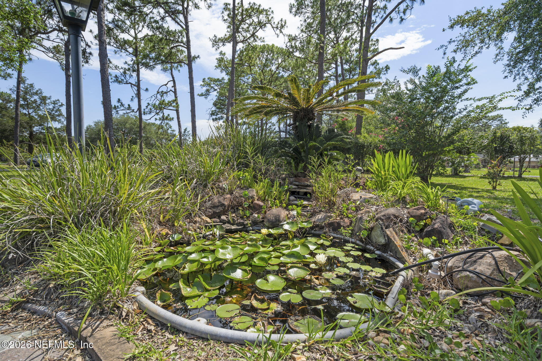 8560 Feldman Road Jacksonville, FL 32244 - Photo 53 of 63 53-web-or-mls-DSC07382