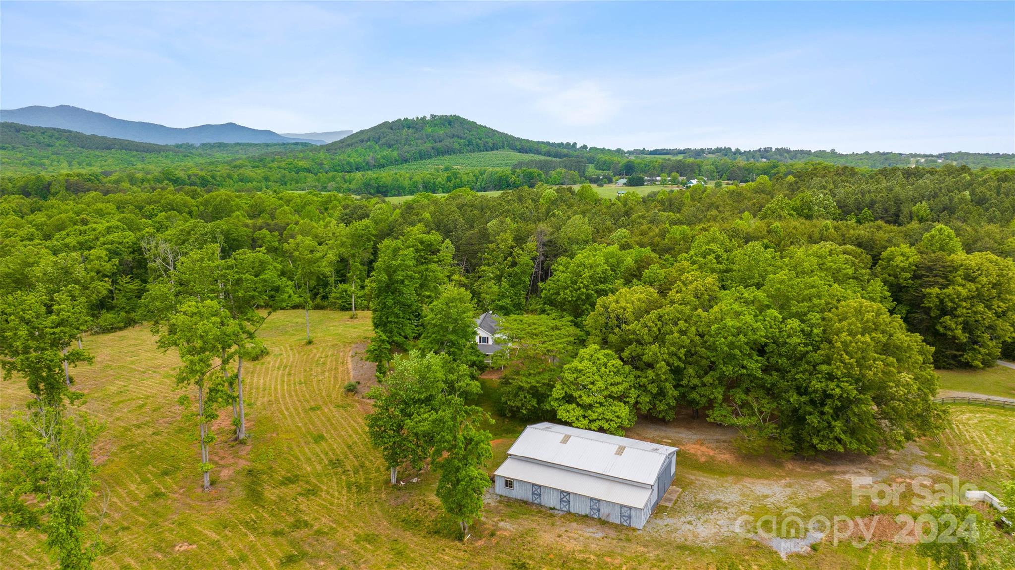 1154 Landrum Road Columbus, NC 28722 - Photo 35 of 36 a view of a lush green field with mountain in the background