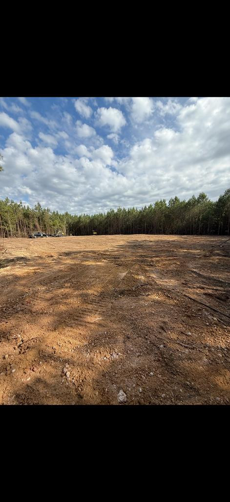 0 Columbus Road Rembert, SC 29128 - Photo 1 of 5 Main View