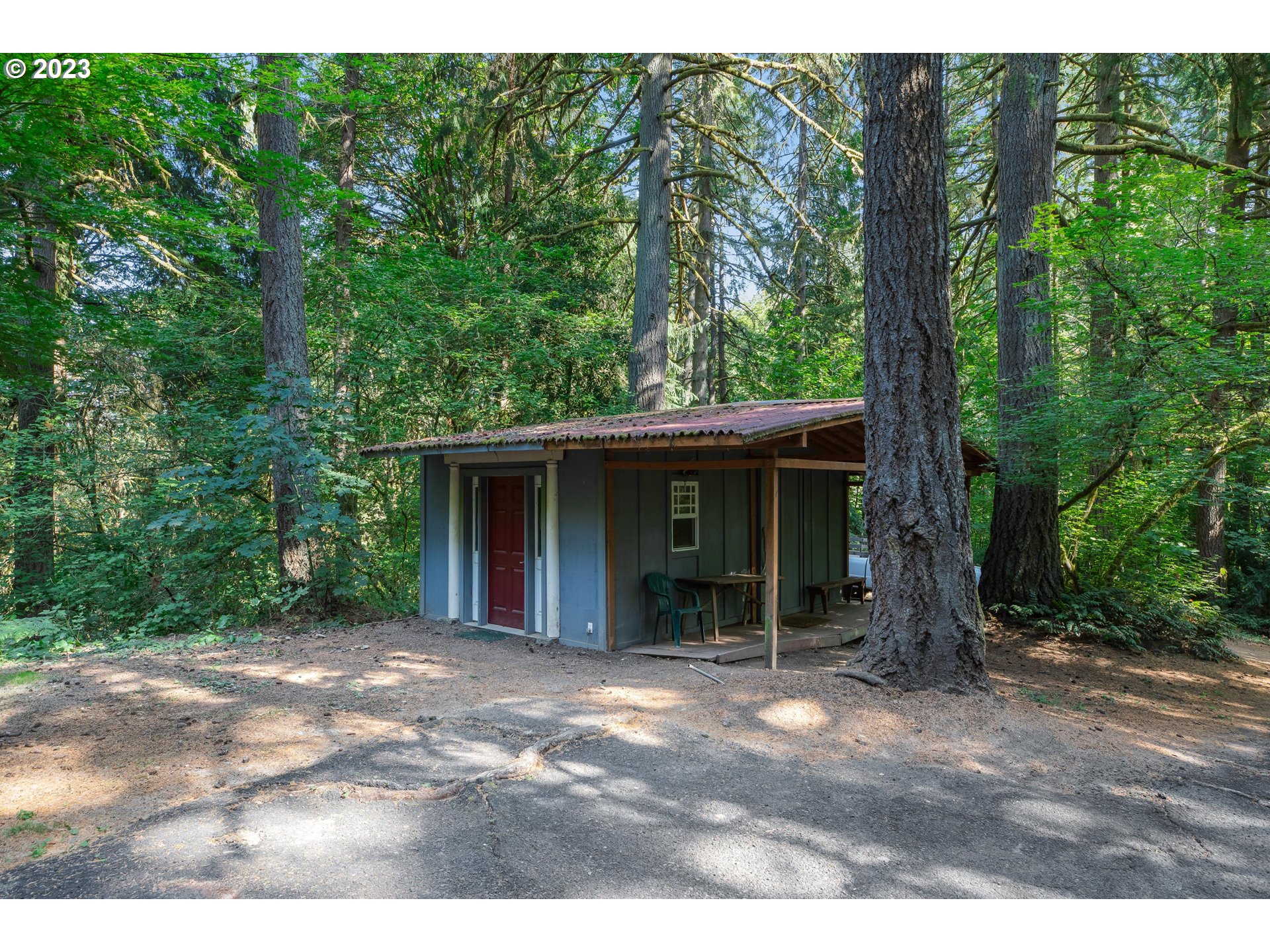 15729 Northwest Sheltered Nook Road Portland, OR 97231 - Photo 42 of 44 a view of a large tree in front of a house