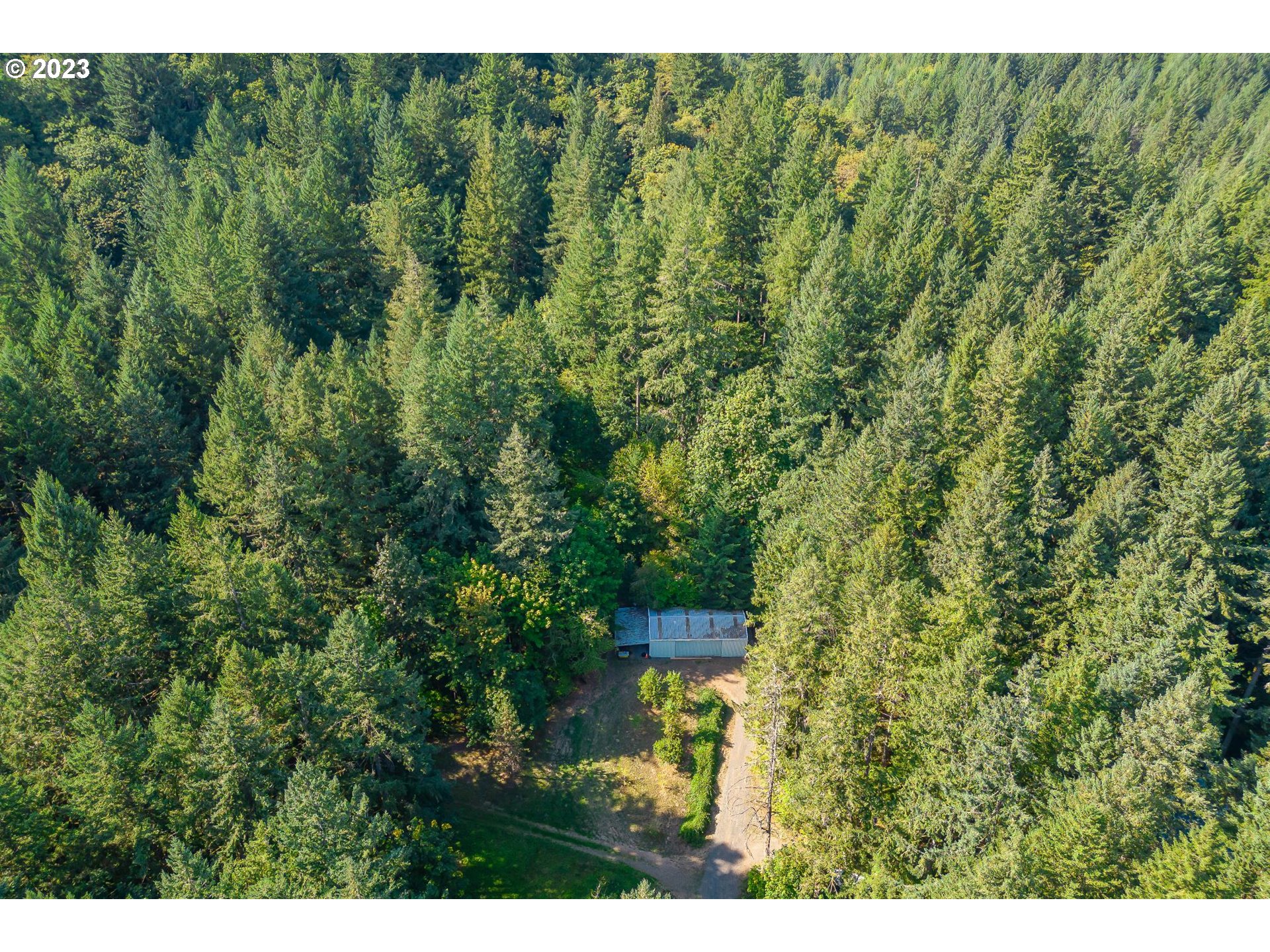 15729 Northwest Sheltered Nook Road Portland, OR 97231 - Photo 43 of 44 a view of a back yard