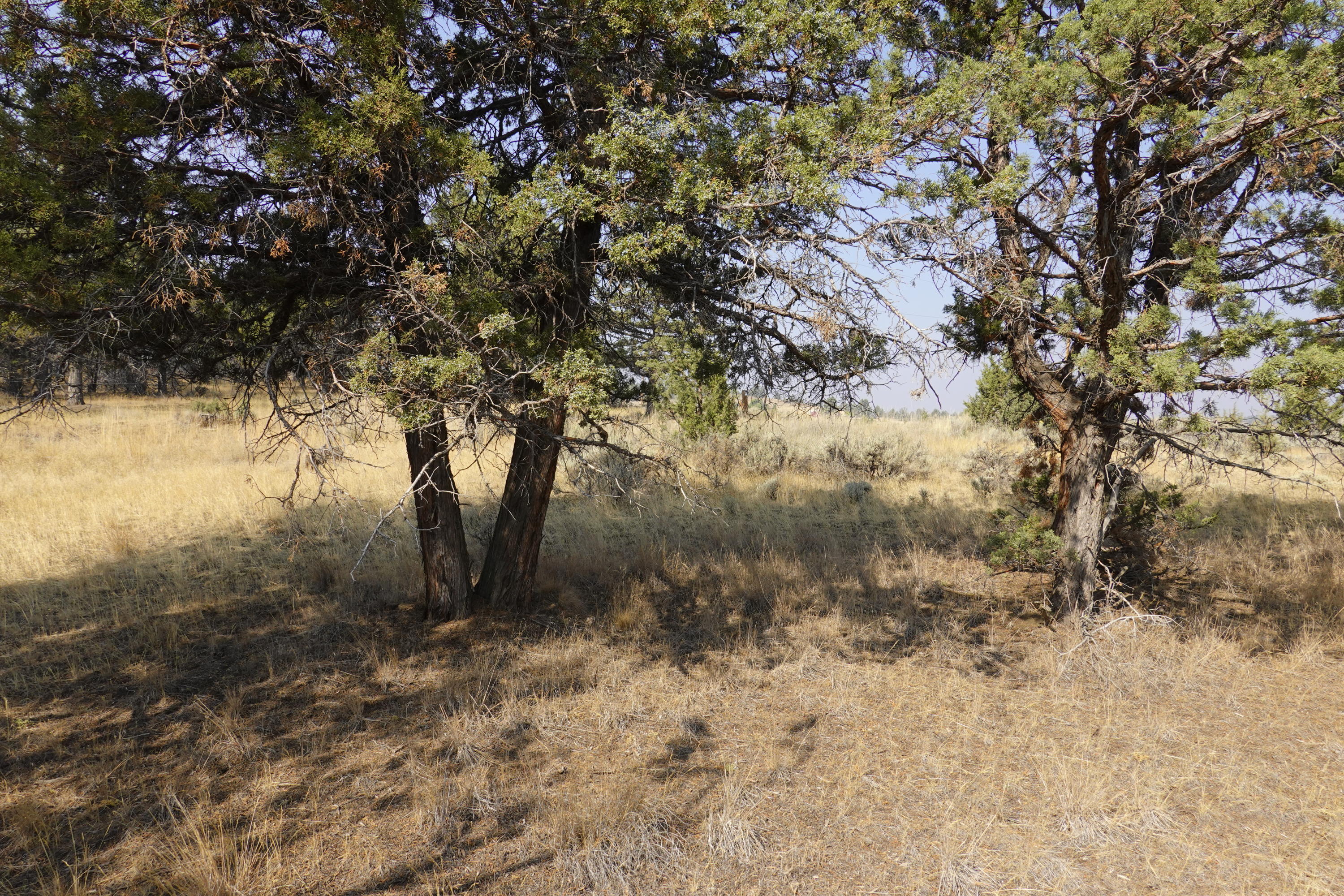 0 Southeast Dead End Road Prineville, OR 97754 - Photo 17 of 32 DSC00087