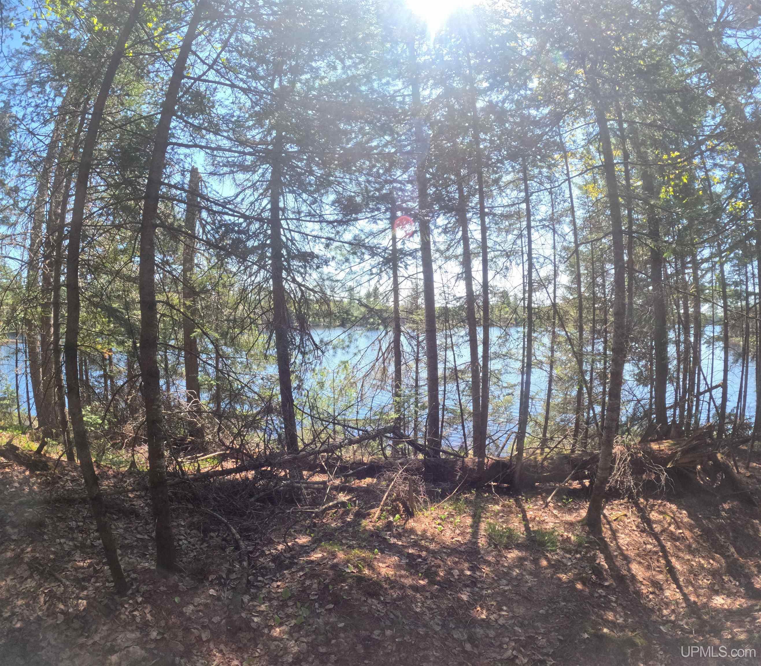 10 Fence Lake Road Michigamme, MI 49861 - Photo 5 of 42