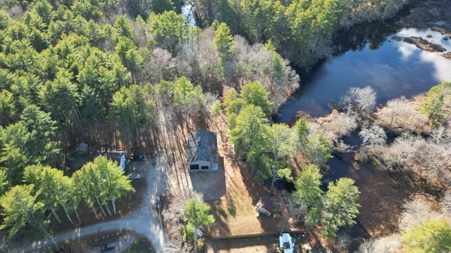 a plant with lots of plants and trees