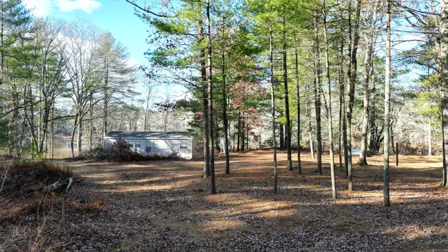 a view of yard with trees