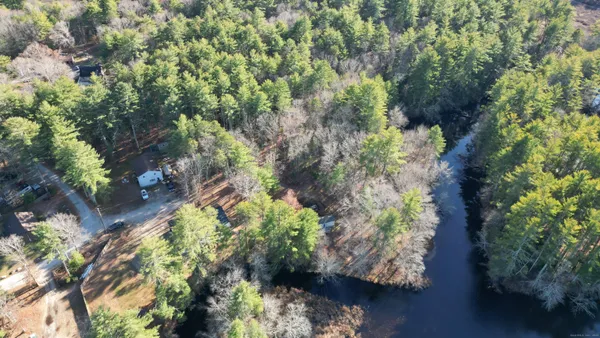 a picture of flowers with green space