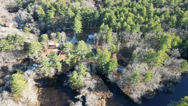 a view of a garden with plants