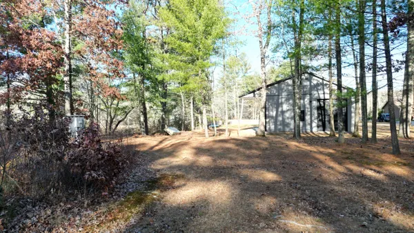 a view of yard with trees