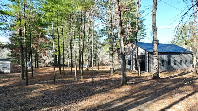 a view of a park with large trees