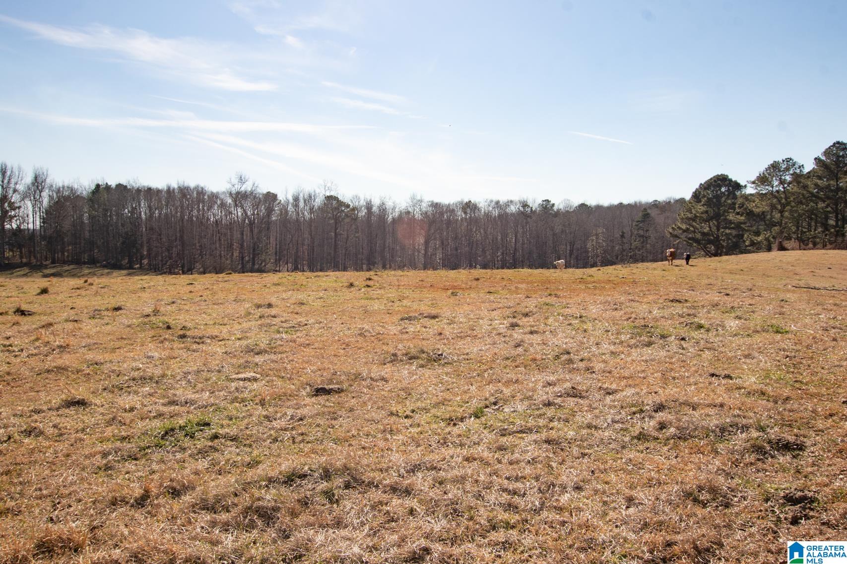 3081 Barfield Fire Department Road Lineville, AL 36266 - Photo 40 of 50