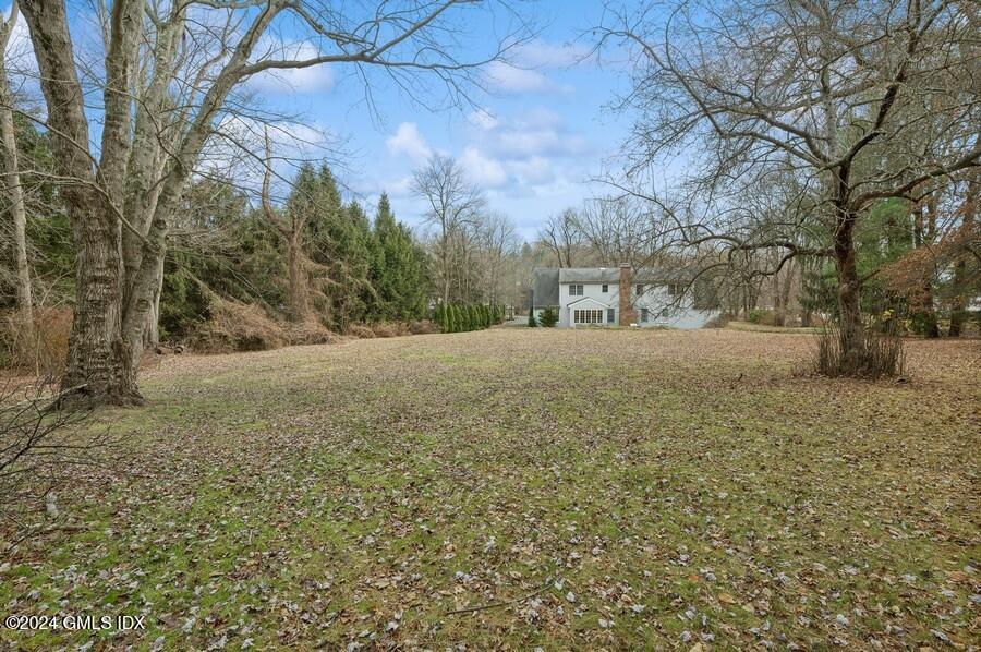 11 Roberta Lane Greenwich, CT 06830 - Photo 19 of 26 a view of dirt yard with a tree