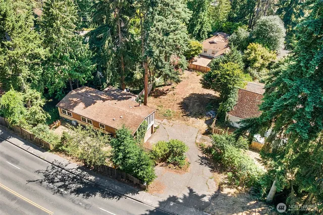 a view of a tree with a yard