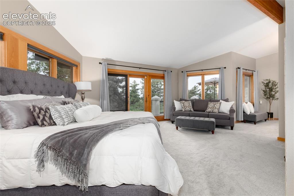 12730 Bridle Bit Road Colorado Springs, CO 80908 - Photo 18 of 50 Spacious primary room featuring multiple windows with wood trim, light gray carpeting, and a visible wood beam