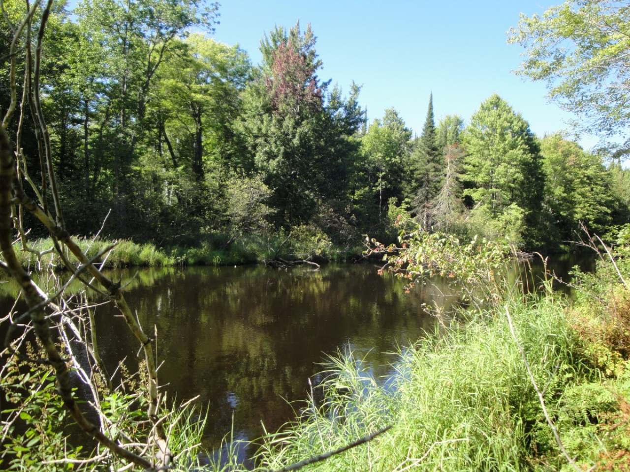 3-4 Murmuring Pnes Trail Rhinelander, WI 54501 - Photo 6 of 12 Gallery Image 6