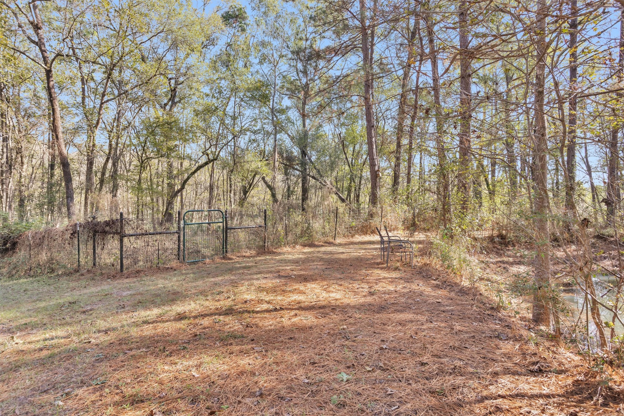 27789 Armadillo Road Montgomery, TX 77356 - Photo 41 of 50