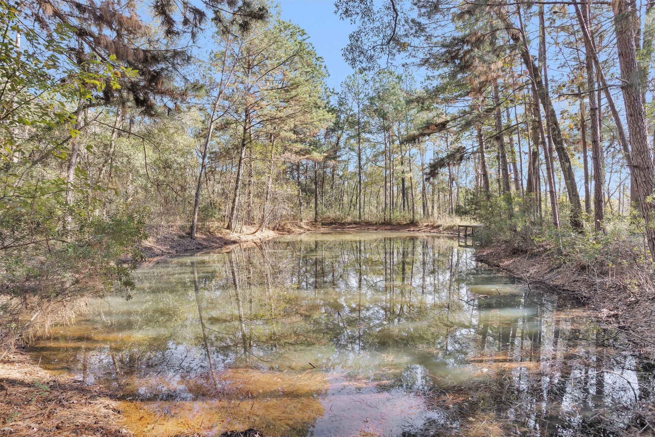 27789 Armadillo Road Montgomery, TX 77356 - Photo 42 of 50