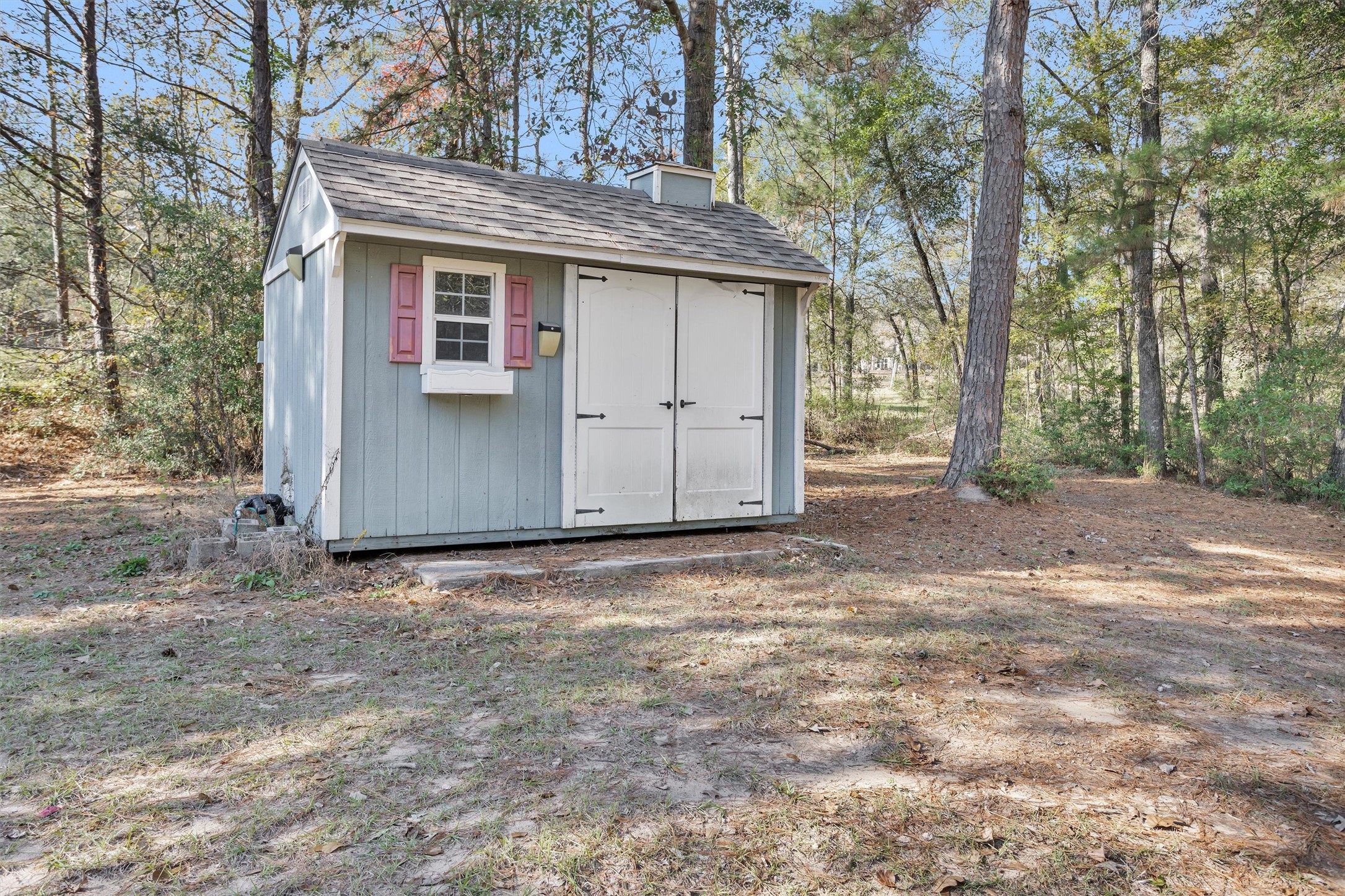 27789 Armadillo Road Montgomery, TX 77356 - Photo 43 of 50