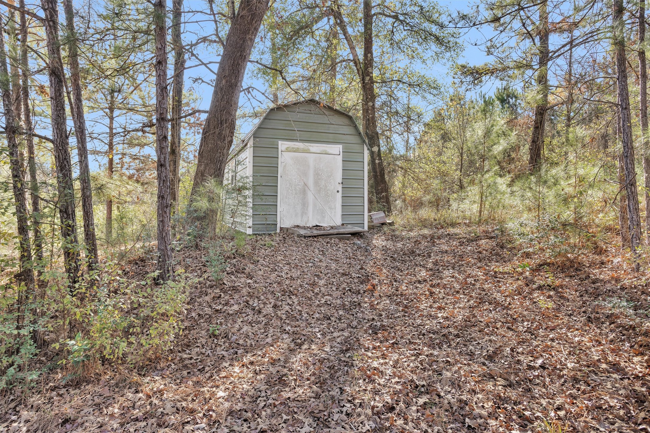 27789 Armadillo Road Montgomery, TX 77356 - Photo 45 of 50