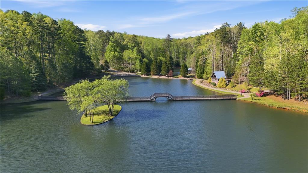 392 Red Mountain Road Dallas, GA 30157 - Photo 3 of 200