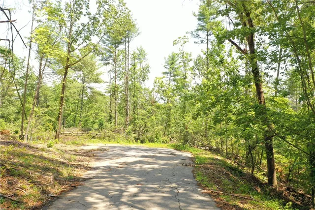 $199,000 | 113 Sweetshrub Court, Sunset, SC 29685