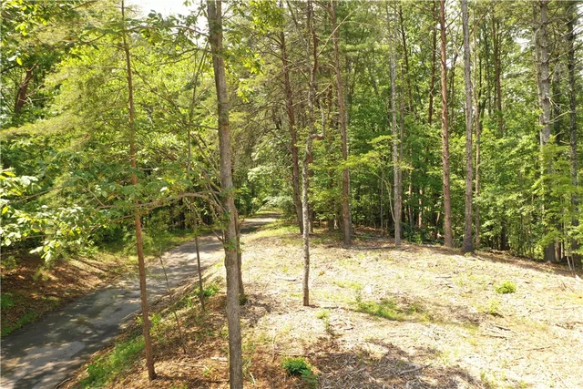 $199,000 | 113 Sweetshrub Court, Sunset, SC 29685