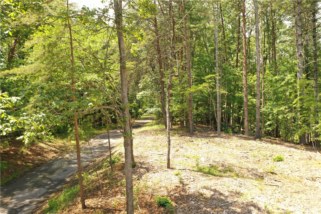 113 Sweetshrub Court Sunset, SC 29685 - Photo 11 of 15