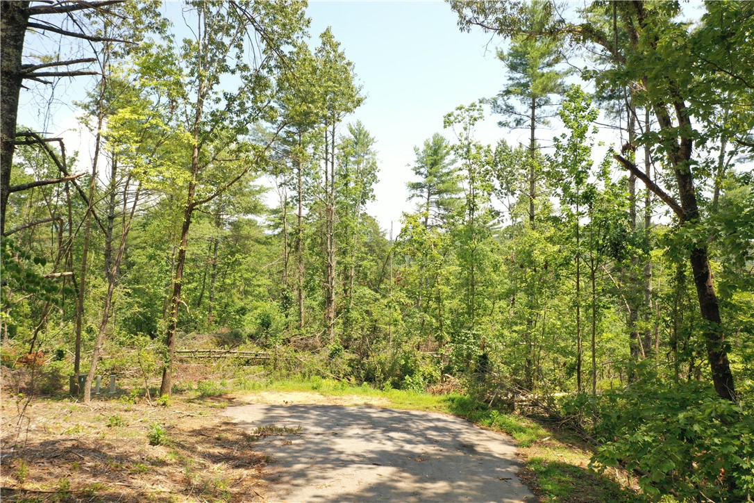 113 Sweetshrub Court Sunset, SC 29685 - Photo 12 of 15